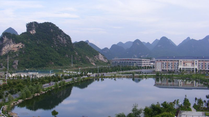 二极管漏电流：揭秘其参数背后的秘密**