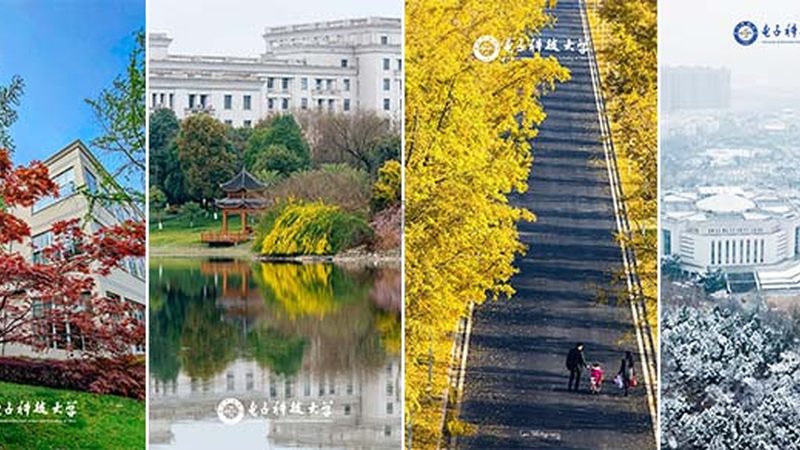 新能源汽车柔性线路板：揭秘其关键技术与选型要点**