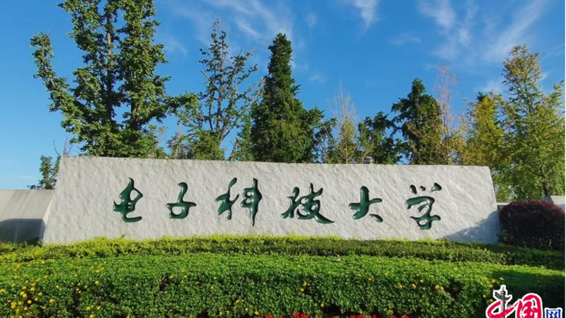上海精密电阻精度等级：揭秘其背后的技术奥秘